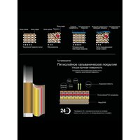 Potato P58238-19 Image #6