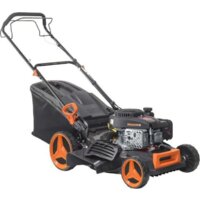 Shtenli Black 48H Pro