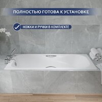 Lauter Regina 150х75 21014152 (с ручками) Image #6