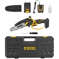 Denzel CCS-150 (с 1-им АКБ, кейс)