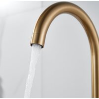 Shevanik S128G Image #4