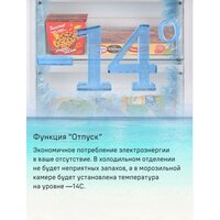 MAUNFELD MFF200NFS Inverter Image #16