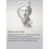 MAUNFELD MFF200NFS Inverter Image #13