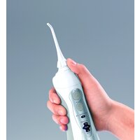 Panasonic EW1411 Image #3