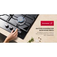 Hansa BHGS611839 Image #5