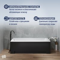 Lauter Amelia 180 21204080 (с ножками, черным подголовником) Image #5