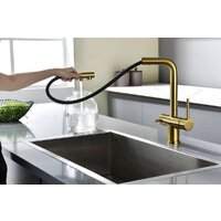 Paulmark Serpentine Se213222-BG (золото/брашированное золото) Image #8