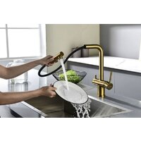 Paulmark Serpentine Se213222-BG (золото/брашированное золото) Image #7