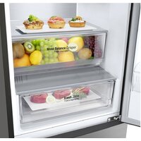 LG DoorCooling+ GA-B509CMQM Image #10