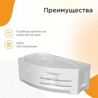 Radomir София Терапия 2-81-2-1-0-223 (с гидромассажем, левый) Image #4