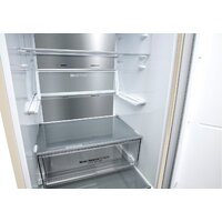 LG DoorCooling+ GA-B509CEQM Image #12