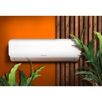 Zerten ZN-12I Image #6