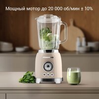 Redmond (Редмонд) BS413 Image #2