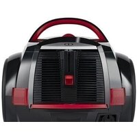 Arnica Tesla Image #8