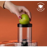 Scarlett SC-JE50S48 Image #8