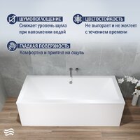 Lauter Oasis 165 21203065 (с ножками, серым подголов, белым лиц. и торц. экранами) Image #4