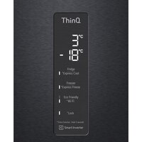 LG GC-B509SBSM Image #10