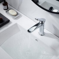 Shevanik S4301 Image #12