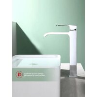 Raglo R02.15 Image #11