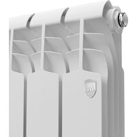 Royal Thermo Vittoria Super 300 - 4 секций Image #2