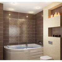 1Марка Diana 170x105 L (с каркасом и экраном) Image #4