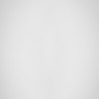 Wisent 620-28WR (с сифоном GER013) Image #5