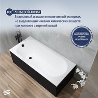 Lauter Haven 160 21202006 (с ножками, черным подголовником и черным лиц.экраном) Image #4