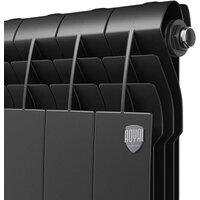 Royal Thermo Biliner Alum 500 Noir Sable (8 секций) Image #3