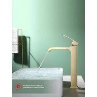 Raglo R02.15.03 Image #10