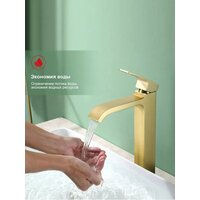 Raglo R02.15.03 Image #11